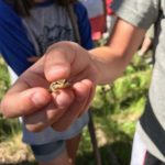 A person holding a small piece of food in their hand.